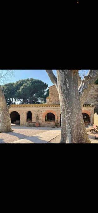 Torreilles-Casa Terracota-Proche Plage - Les Deferlantes Le Barcares - South Of France Exterior foto